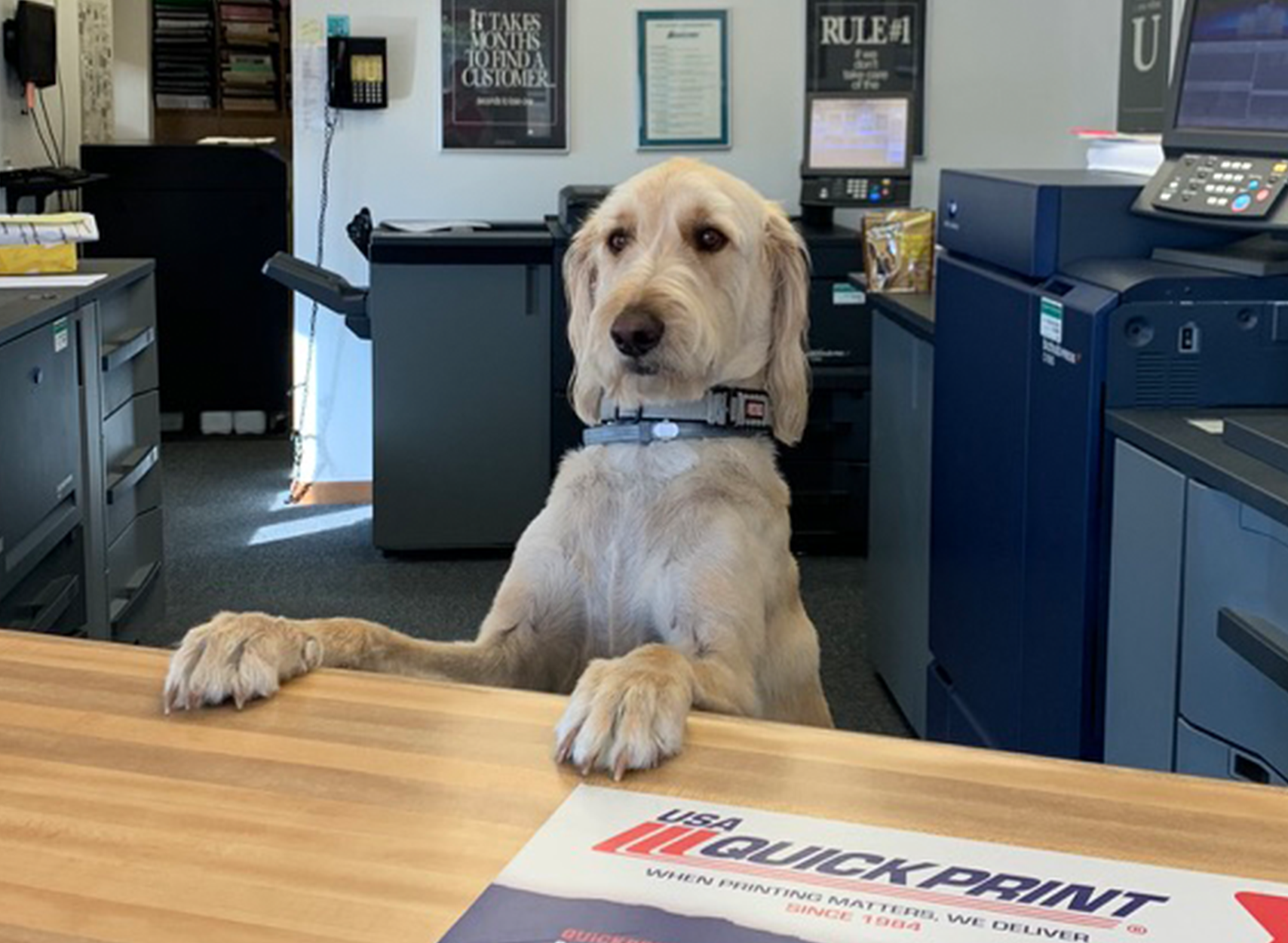 In-Store & Office Services